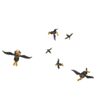 1675406f-62ca-4d2a-accb-402d9353ea09.gif